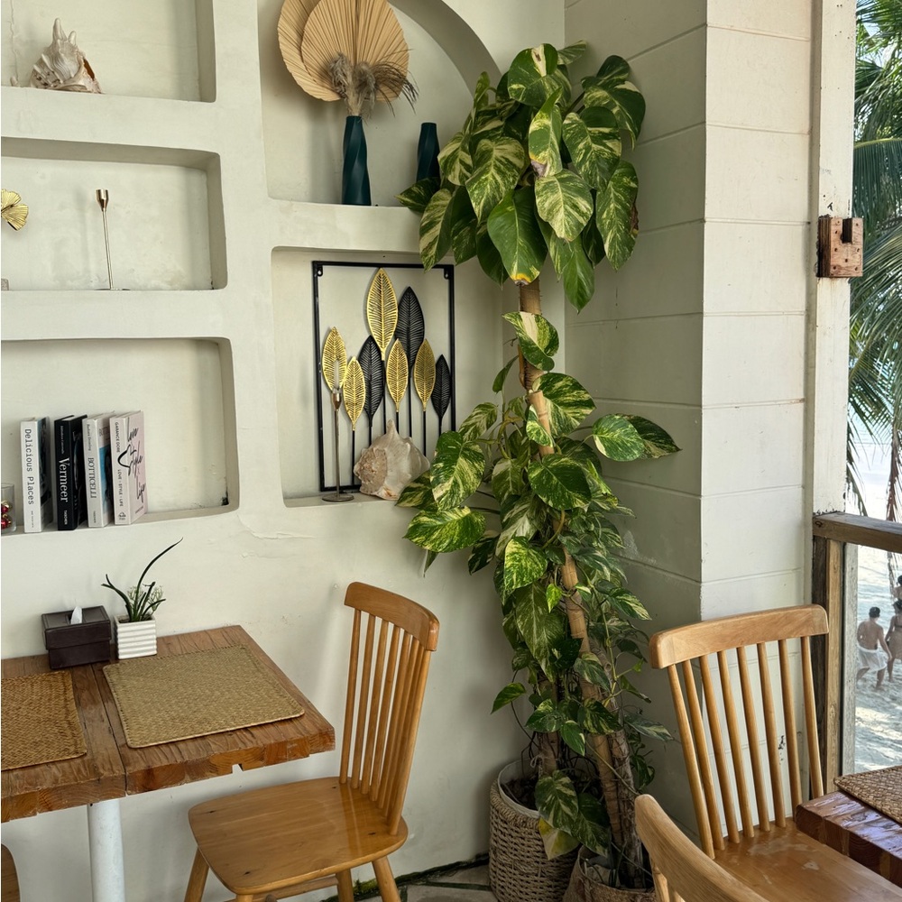 Meet your Posher, Bea